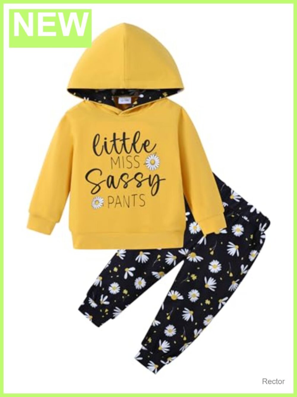 Toddler Girls Long Sleeve Hooded Sweatshirt & Floral Pants Set 1-6T